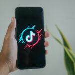 calcola guadagni tiktok